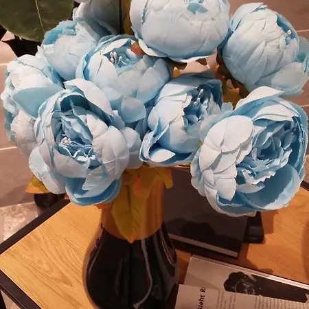 Blue Rose Comfort