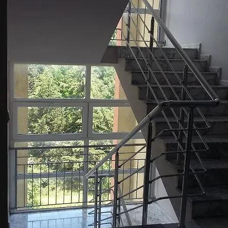 Apartment Blue Rose Comfort *